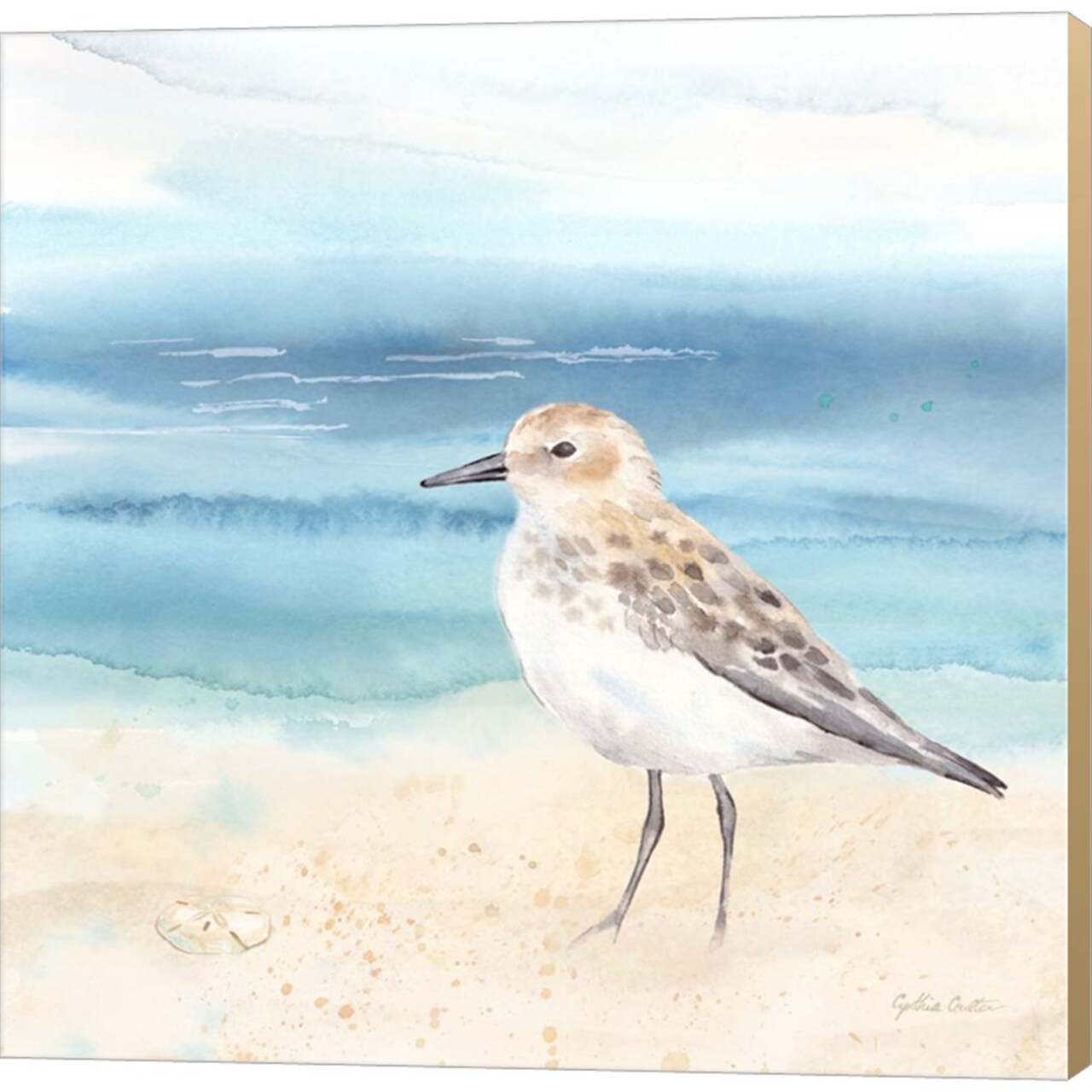 By the Seashore XIV by Cynthia Coulter 12" x 12" Canvas Wall Art